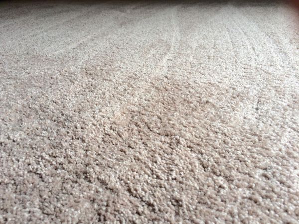 Plush Carpet Installation in Tucson