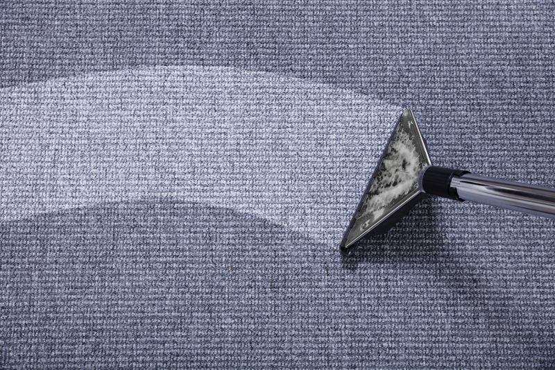 Restored Carpet Appearance